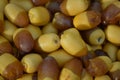 Dates fruit sweet fresh yellow food healthy in market, energy source nutrition palm tree nature close up