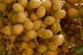 Dates fruit sweet fresh yellow food healthy in market, energy source nutrition palm tree nature close up