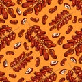 Dates fruits background, Branch of dates seamless pattern. All elements are isolated, Vector pattern Royalty Free Stock Photo