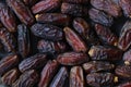 Dates fruits on a gray background