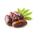 Dates fruits with leaves on white backgrounds