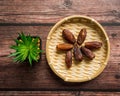 Dates or kurma on a wooden table with flower pot Royalty Free Stock Photo