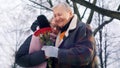 Dating at old ages. Happy elderly man giving bouquet of red roses to his wife Royalty Free Stock Photo