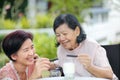 Daughter caring for the elderly asian woman ,picking chocolate.