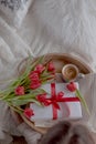 Daughter congratulates mom, Breakfast in bed on a tray with flowers. Morning surprise in the concept of the holiday of the mother Royalty Free Stock Photo