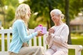 Daughter giving present to senior mother at park Royalty Free Stock Photo