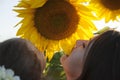 Daughter and mama with sunflowers Royalty Free Stock Photo