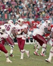 Dave Krieg, Arizona Cardinals QB Royalty Free Stock Photo