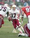 Dave Krieg #17, Arizona Cardinals Quarterback Royalty Free Stock Photo