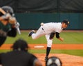 Dave Paladino, Charleston RiverDogs