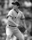 Dave Righetti Royalty Free Stock Photo