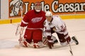 Dave Scatchard And Dominic Hasek