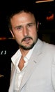 David Arquette