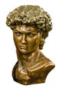 David bronze bust isolated