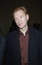 David Caruso Royalty Free Stock Photo