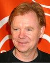 David Caruso Royalty Free Stock Photo