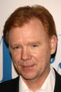 David Caruso Royalty Free Stock Photo