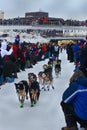 David Dalton begins the Yukon Quest Sled Dog Race