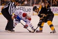 David Desharnais and David Krejci face-off Royalty Free Stock Photo