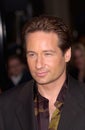David Duchovny Royalty Free Stock Photo