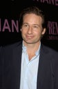 David Duchovny Royalty Free Stock Photo