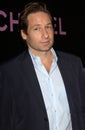 David Duchovny Royalty Free Stock Photo