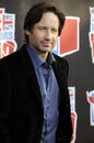 David Duchovny appearing live. Royalty Free Stock Photo