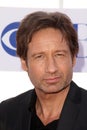 David Duchovny Royalty Free Stock Photo