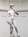 The David is a famous sculpture, Florence, Italy