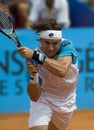 David Ferrer Royalty Free Stock Photo