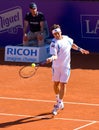 David Ferrer Royalty Free Stock Photo