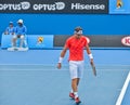 David Ferrer playing in the Australian Open