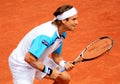 David Ferrer at Roland Garros 2011 Royalty Free Stock Photo
