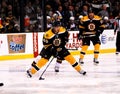 David Krejci #46 Boston Bruins Royalty Free Stock Photo