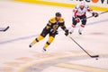 David Krejci Boston Bruins Royalty Free Stock Photo