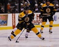 David Krejci, Boston Bruins Royalty Free Stock Photo