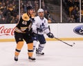 David Krejci, Boston Bruins Royalty Free Stock Photo