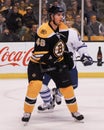 David Krejci, Boston Bruins Royalty Free Stock Photo