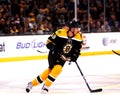 David Krejci Boston Bruins Foward Royalty Free Stock Photo