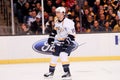 David Legwand, Nashville Predators Royalty Free Stock Photo