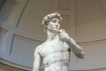 David marble statue at Galleria dell`Accademia, Firenze, Italy