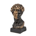 David of Michelangelo bust sculpture isolated on white background