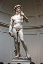 David of Michelangelo florence Royalty Free Stock Photo