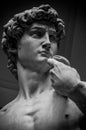 David statue by Michelangelo ,Florence-Italy