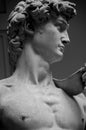David by Michelangelo ,Florence-Italy