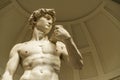 David by Michelangelo, Florence Royalty Free Stock Photo