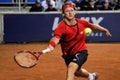 David Nalbandian Royalty Free Stock Photo