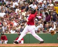 David Ortiz, Boston Red Sox Royalty Free Stock Photo