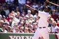 David Ortiz, Boston Red Sox Royalty Free Stock Photo