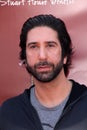 David Schwimmer Royalty Free Stock Photo